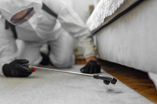 Professional Bed Bug Control technician working in Delavan Lake, WI