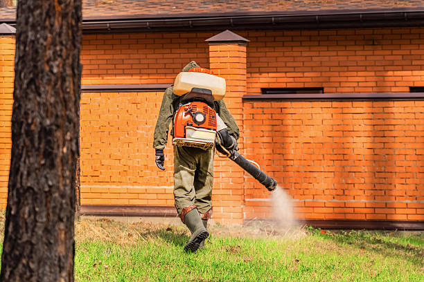 Trusted Rodent Control service in Delavan Lake, WI - Nex Pest Control